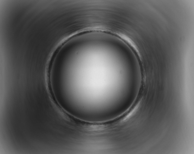 X0000090480989200707131313