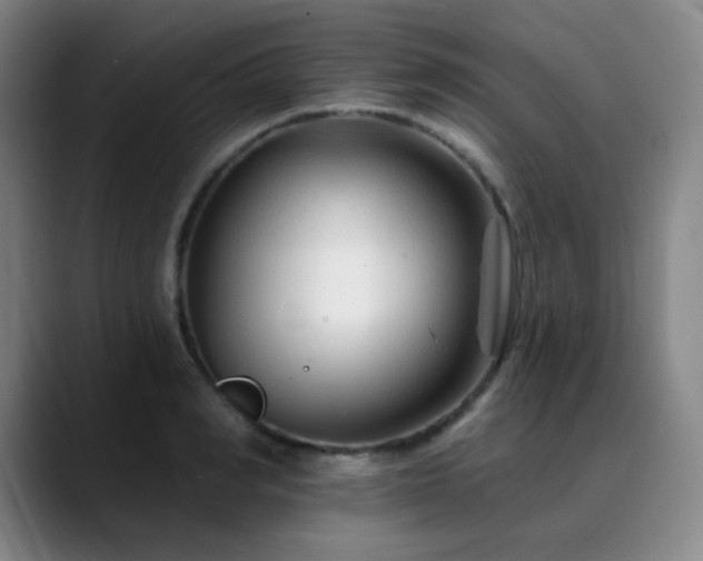 X0000090480990200707131313