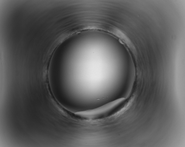 X0000090480993200707131313
