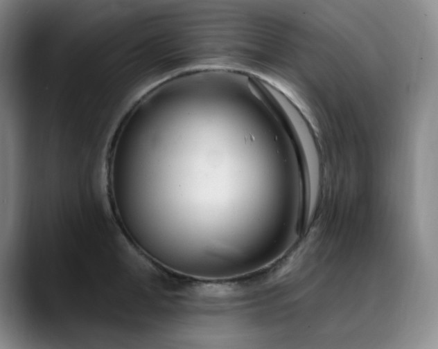 X0000090480998200707131313