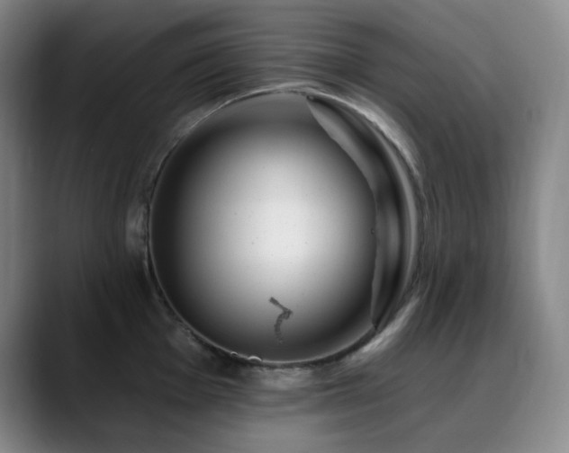 X0000090481001200707131313