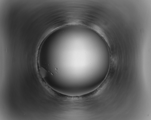 X0000090481002200707131313