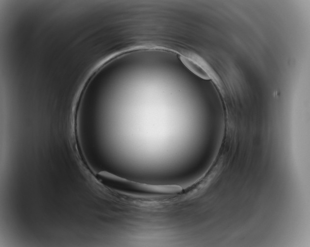 X0000090481004200707131313
