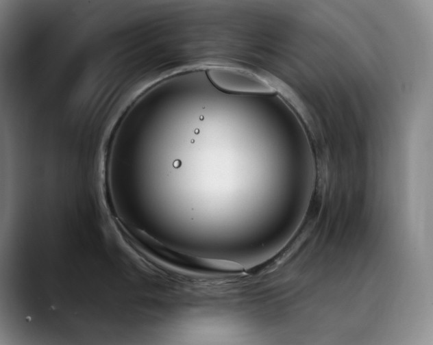 X0000090481006200707131312