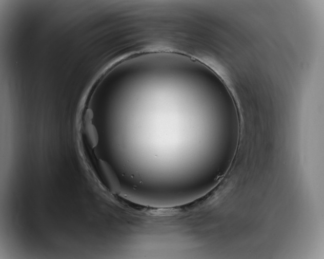 X0000090481008200707131312