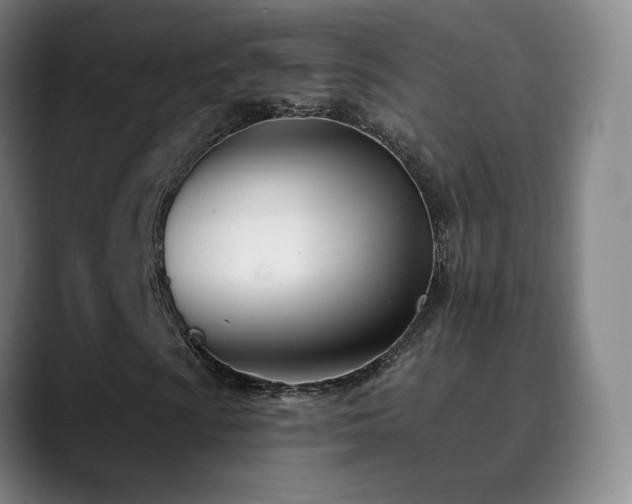 X0000090481009200707131312