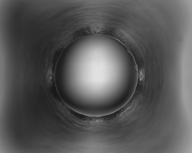 X0000090481011200707131312