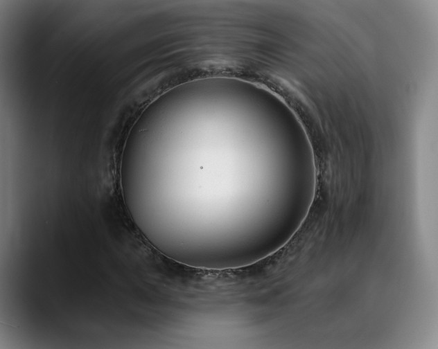 X0000090481015200707131312