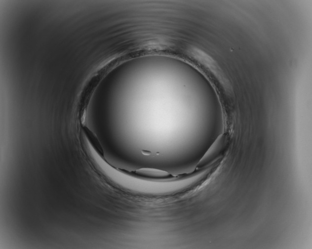 X0000090481018200707131312