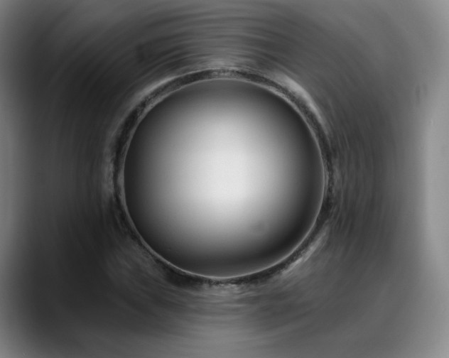 X0000090481019200707131312