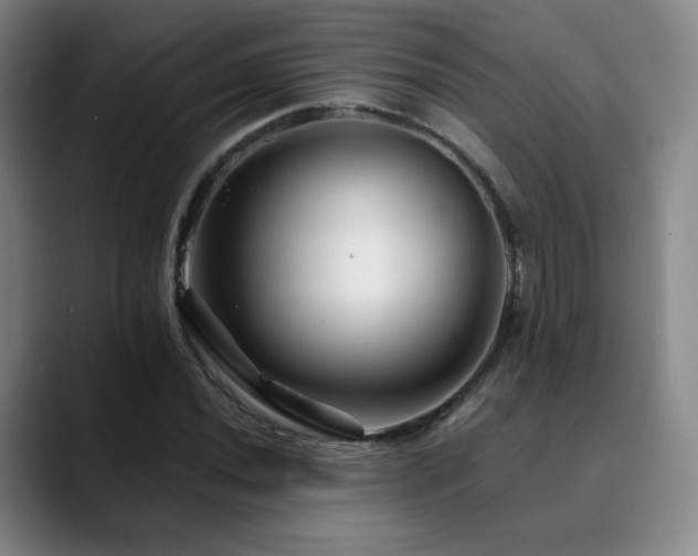 X0000090481020200707131312