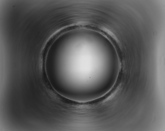 X0000090481021200707131312