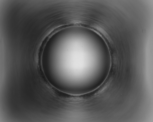 X0000090481023200707131312