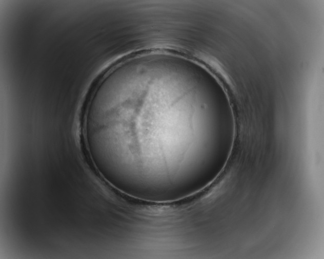 X0000090481024200707131312