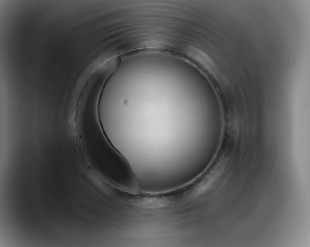 X0000090481026200707131312