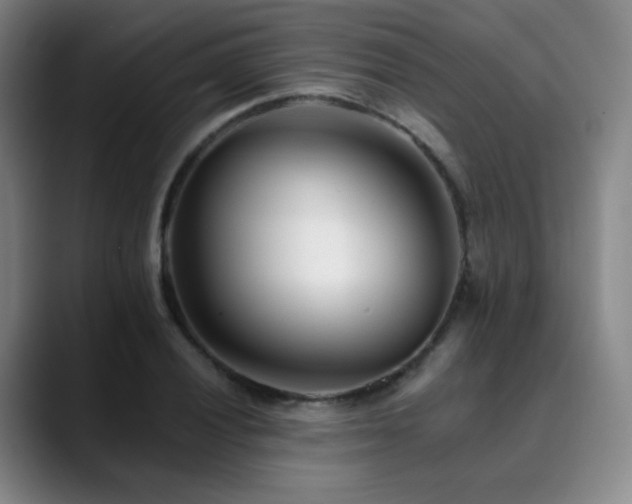 X0000090481028200707131312
