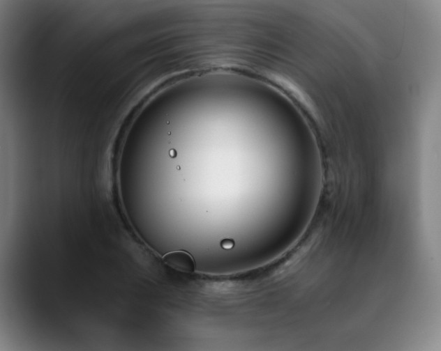 X0000090481031200707131312