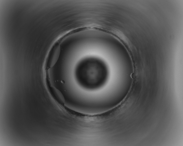 X0000090481032200707131312