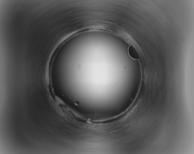 X0000090481036200707131312