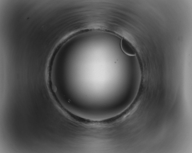 X0000090481037200707131312