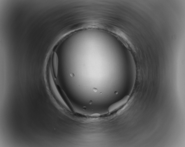 X0000090481038200707131312