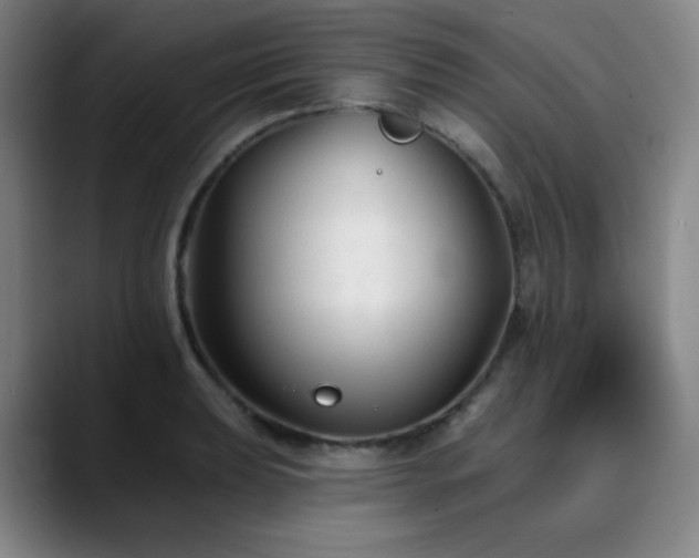 X0000090481039200707131312