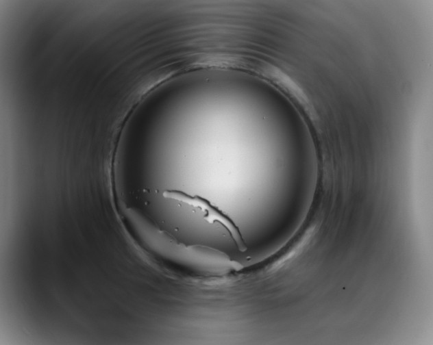 X0000090481041200707131312