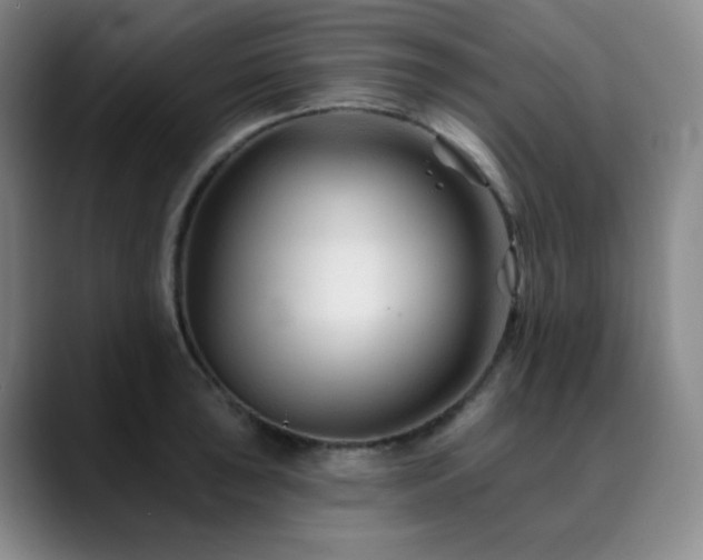 X0000090481043200707131312