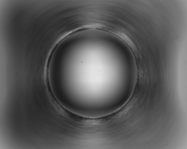 X0000090481044200707131312