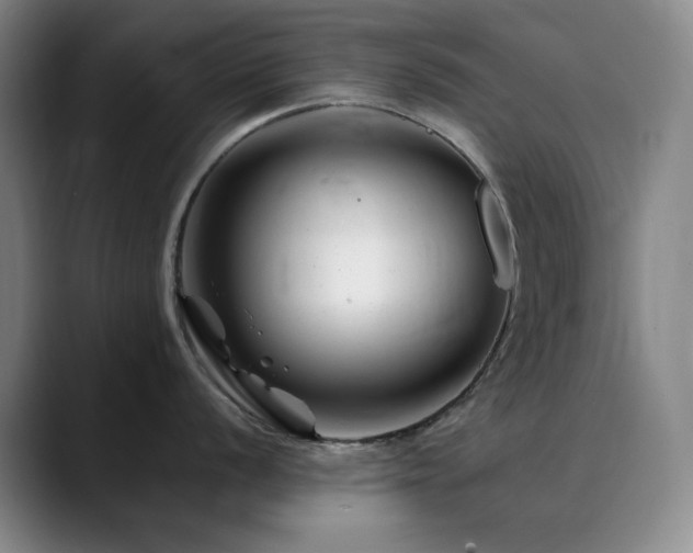 X0000090481056200707131312