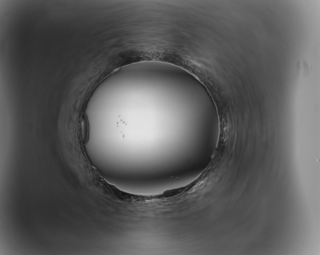 X0000090481057200707131312