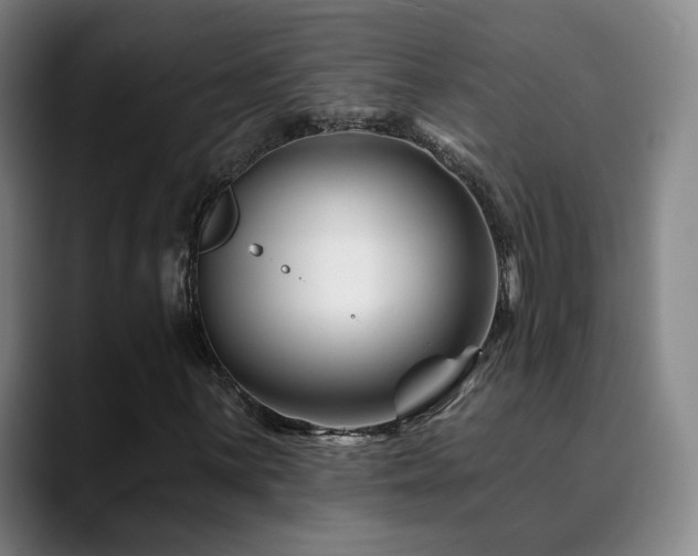X0000090481059200707131312