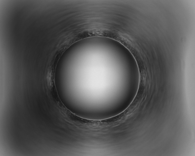 X0000090481060200707131312