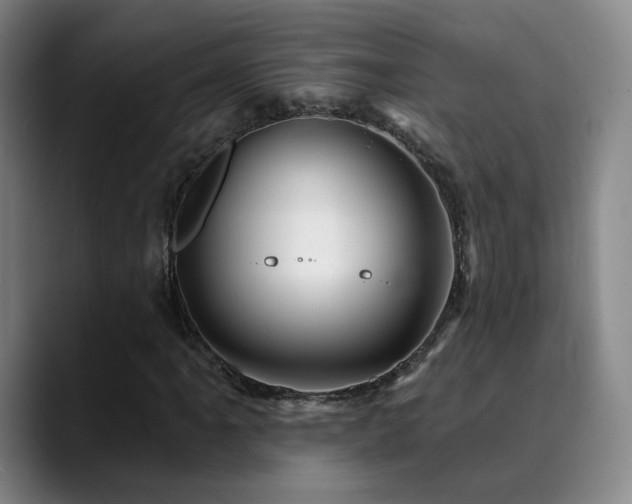 X0000090481061200707131312