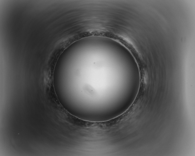 X0000090481063200707131312