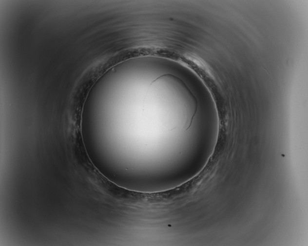 X0000090481064200707131312