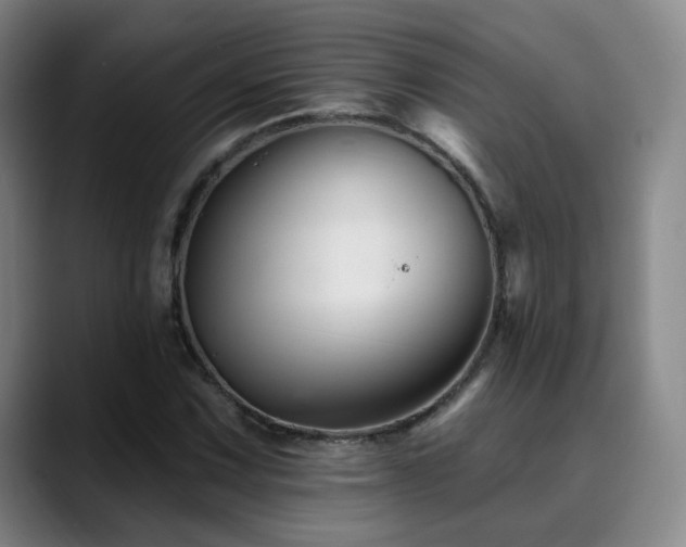 X0000090481067200707131312