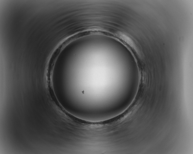 X0000090481068200707131312