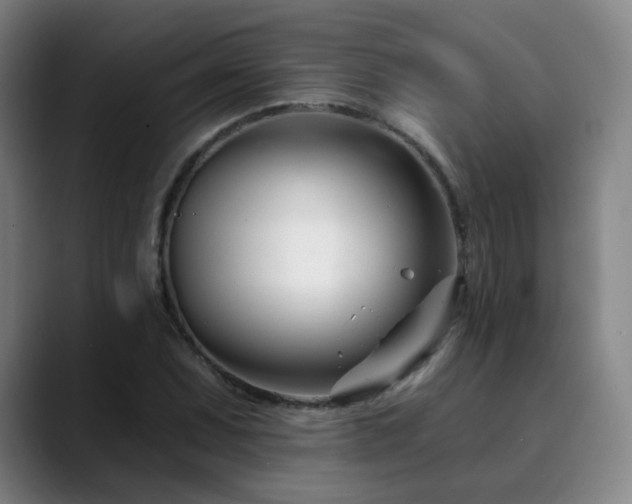 X0000090481071200707131312