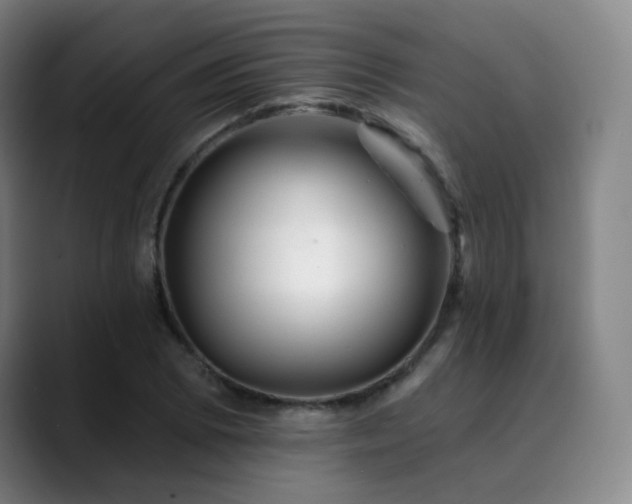 X0000090481073200707131312