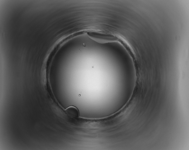 X0000090481075200707131312