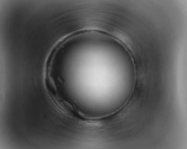 X0000090481076200707131312