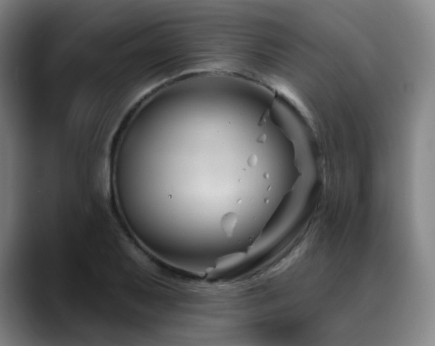 X0000090481079200707131312