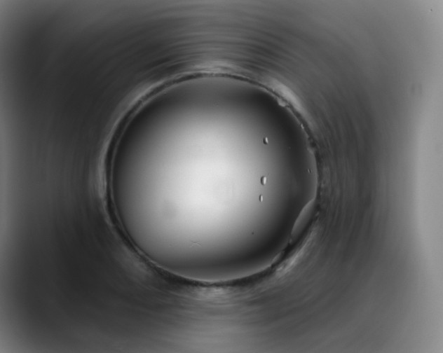 X0000090481082200707131312