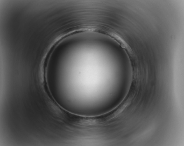 X0000090481083200707131312