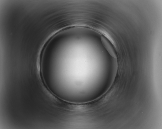X0000090481084200707131312