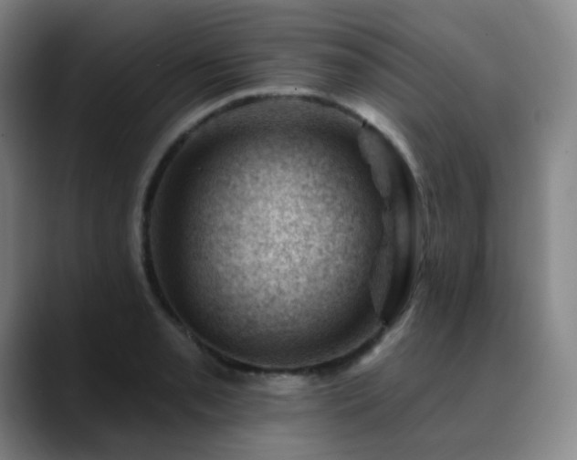 X0000090481085200707131312