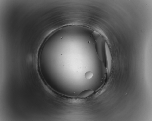 X0000090481087200707131312
