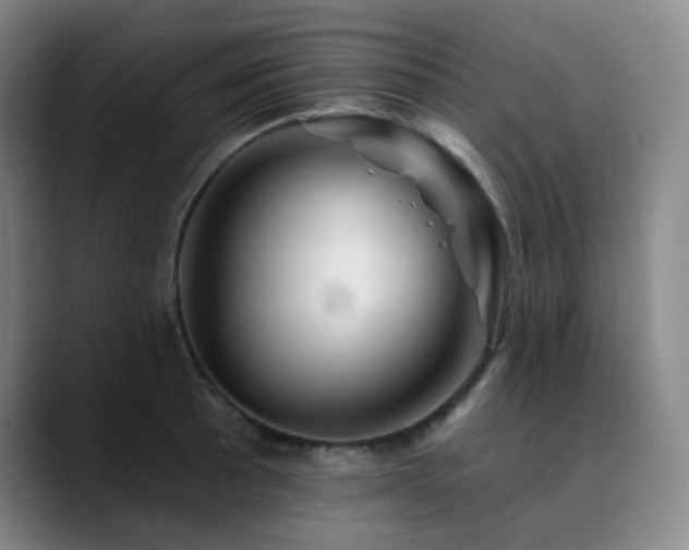 X0000090481089200707131312