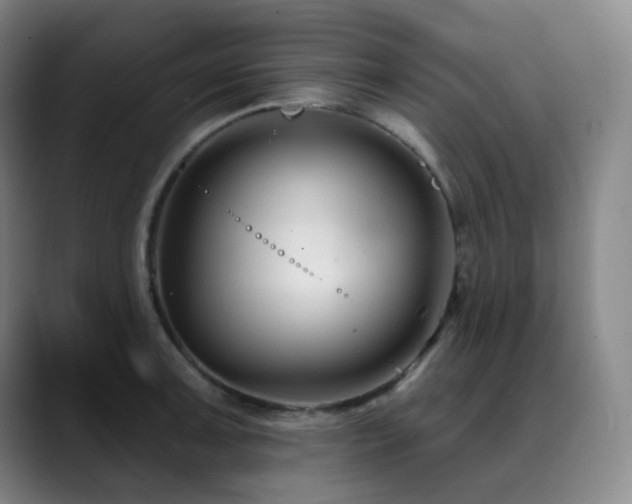 X0000090481091200707131311